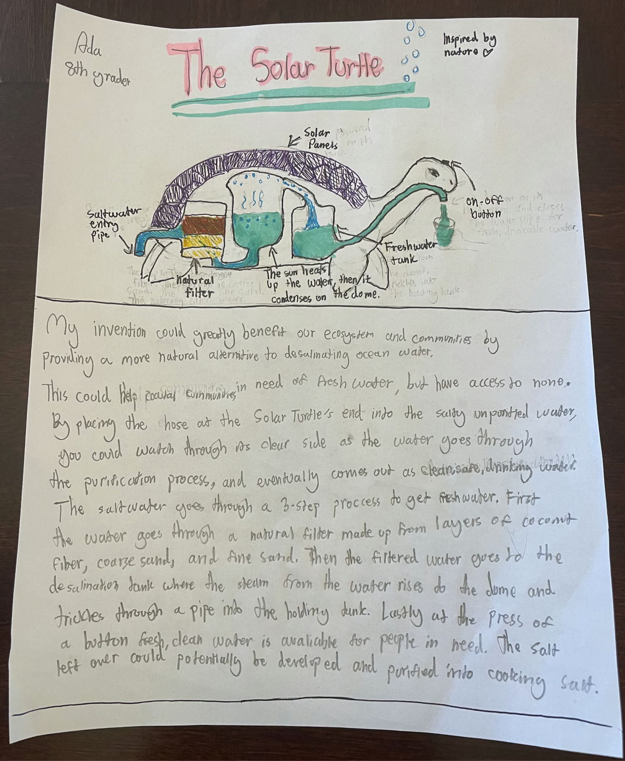 "The Solar Turtle" by Ada